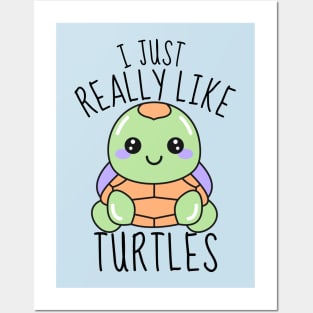 I Just Really Like Turtles Funny Posters and Art